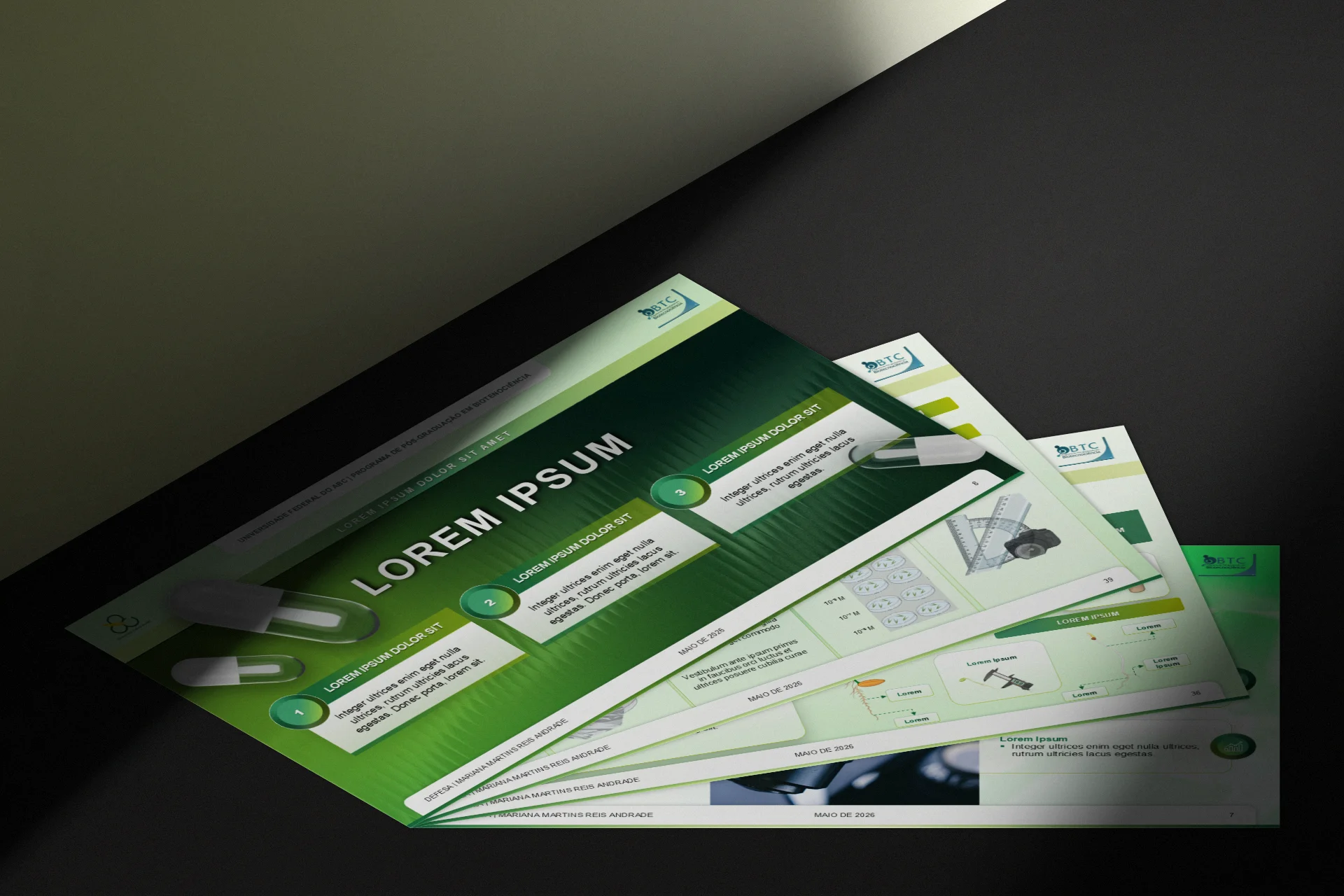 Conjunto de slides da defesa de doutoramento em leque, com design profissional em tons de verde