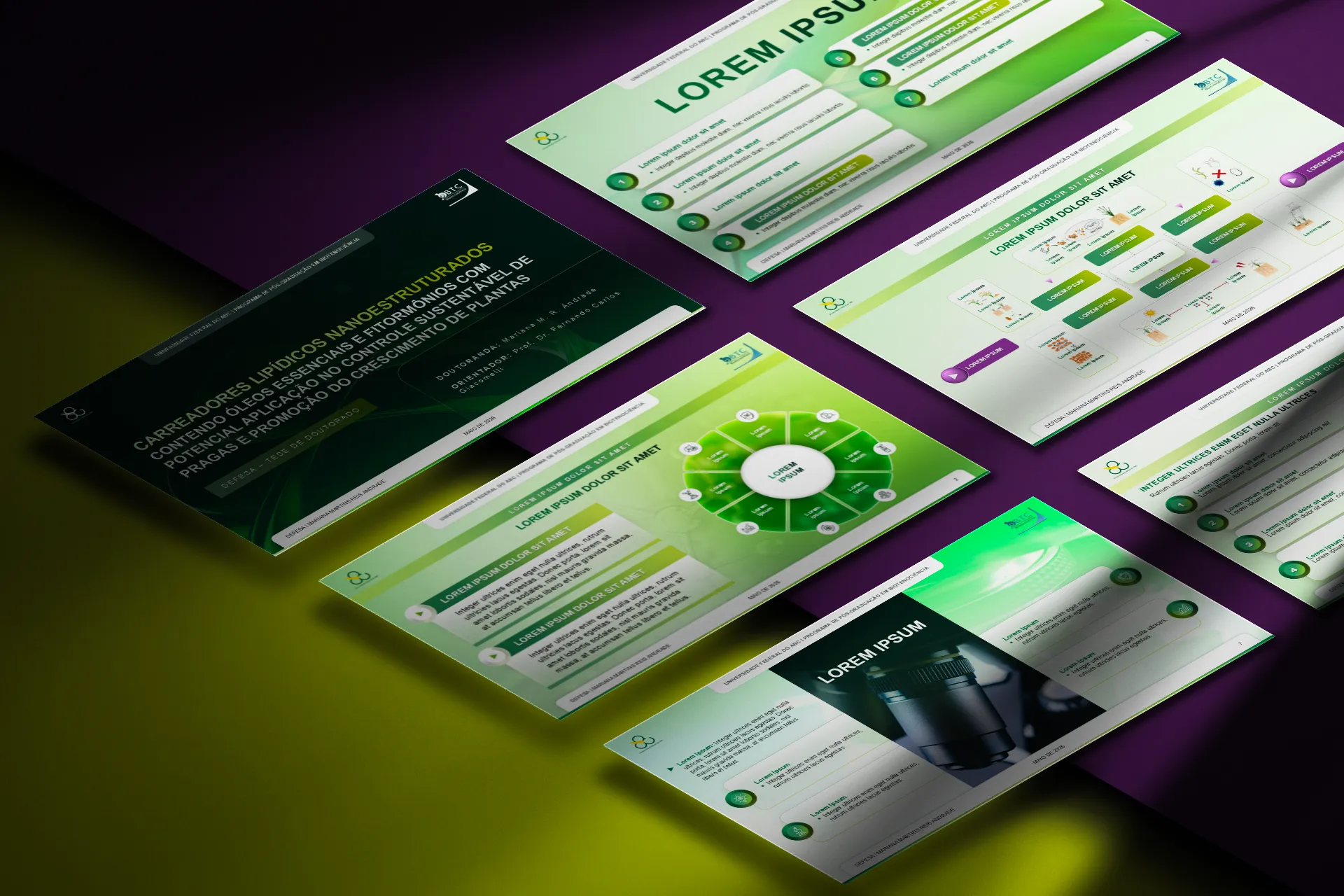 Visão geral dos slides da apresentação de doutoramento da UFABC, com design verde e branco