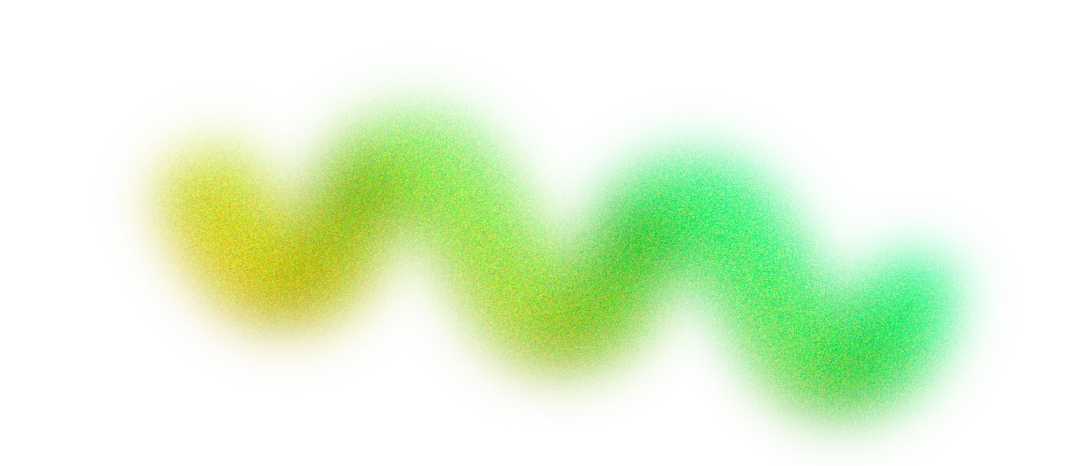 Foto Matilde Ferreira